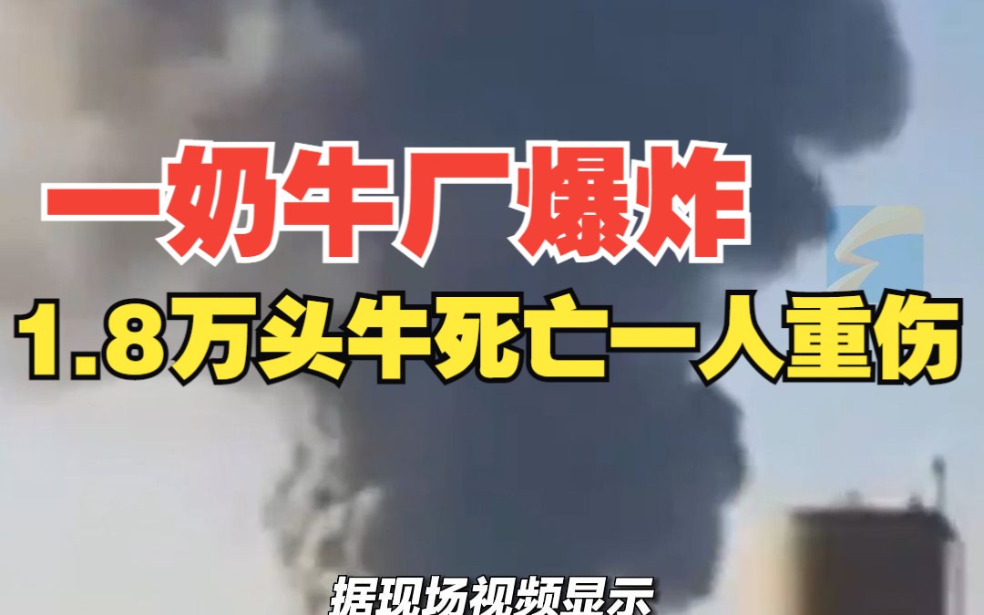 美国得州一奶牛厂爆炸 爆炸造成1.8万头牛死亡 1人重伤哔哩哔哩bilibili