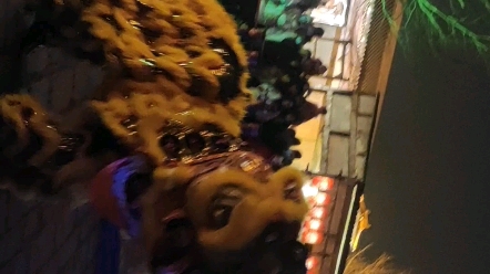 唐城舞狮表演 如果你来舞狮，你想做狮头还是狮尾?