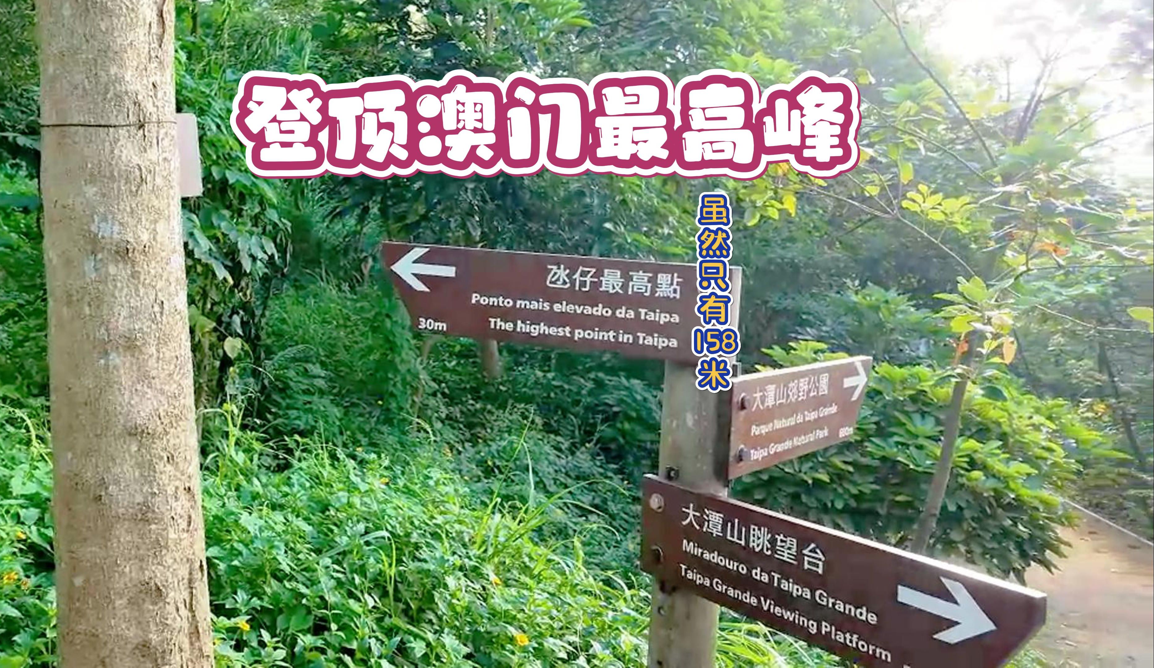 鬼使神差的登顶了澳门最高峰~氹仔大潭山~哔哩哔哩bilibili