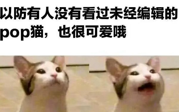 meme梗图① 希望你今天能够开心哦哔哩哔哩bilibili