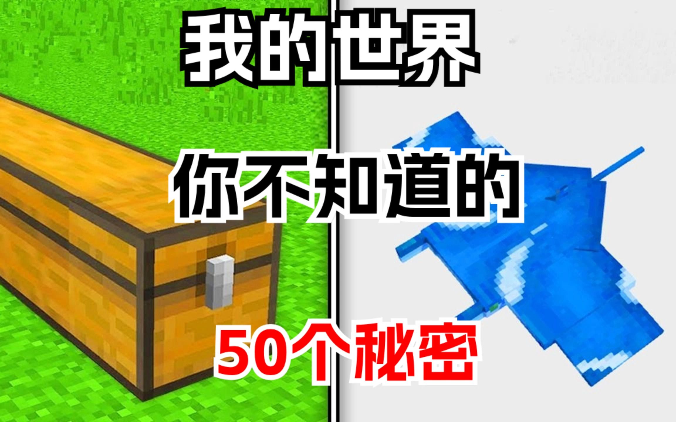 [图]我的世界：你不知道的50个秘密