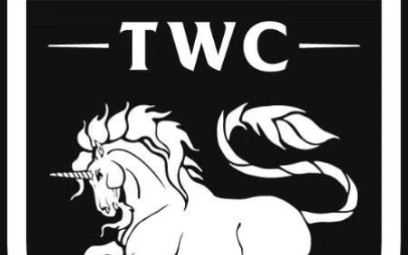 TWC晚期英式军刀术基础内容讲解第一部分(基础斩击)哔哩哔哩bilibili