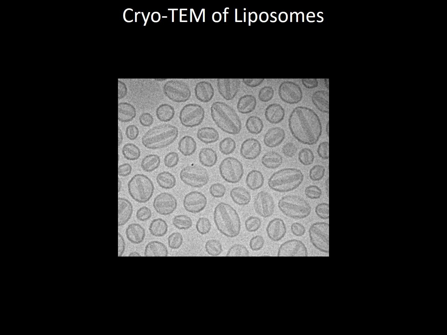 cryoem冷冻电镜-晶体x射线-核磁共振