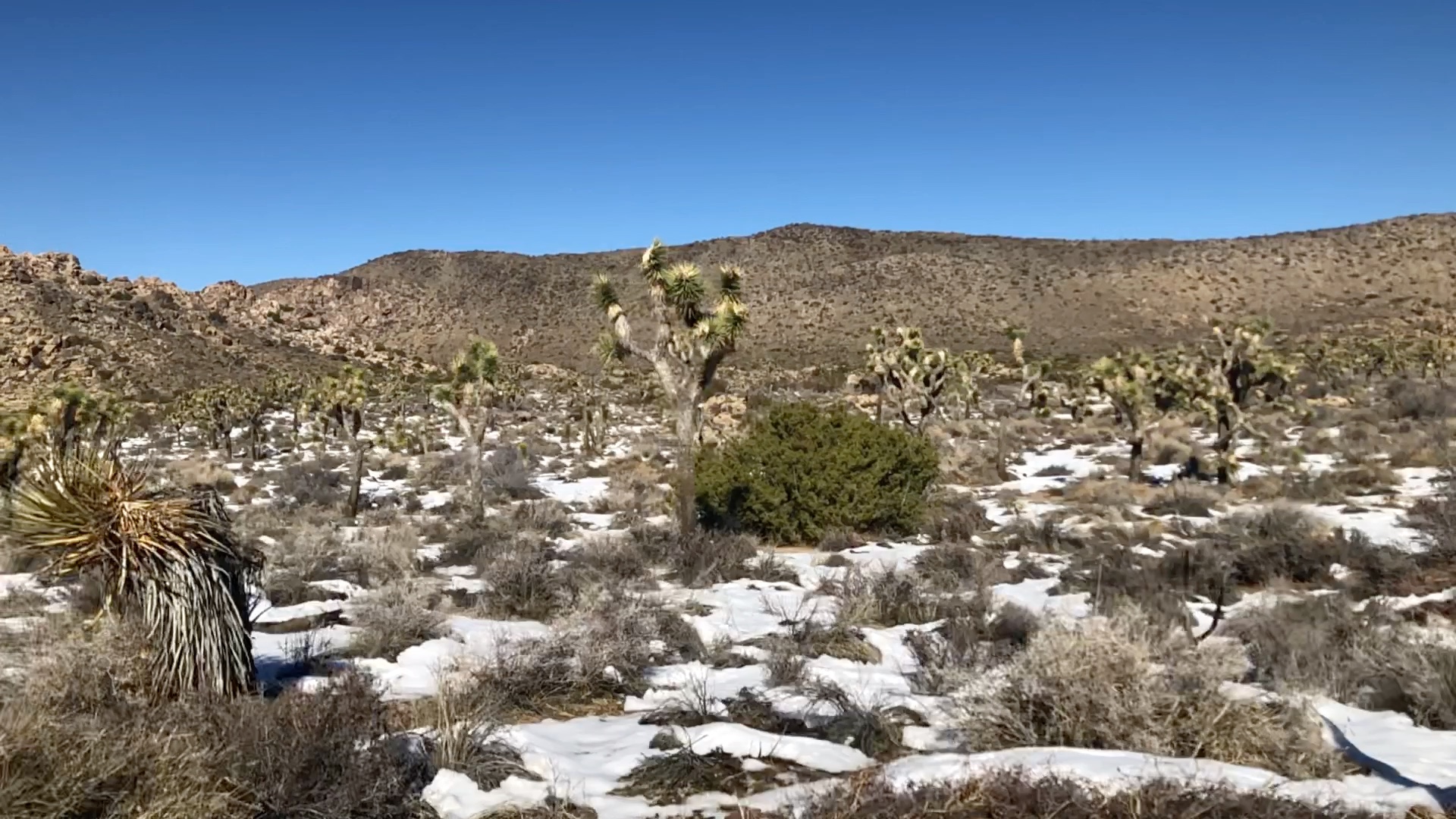 [图]Joshua Tree national park