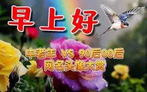 Download Video: 这里面的网名就说你用没用过吧(aka取名大全)中老年/90后00后网名大赏