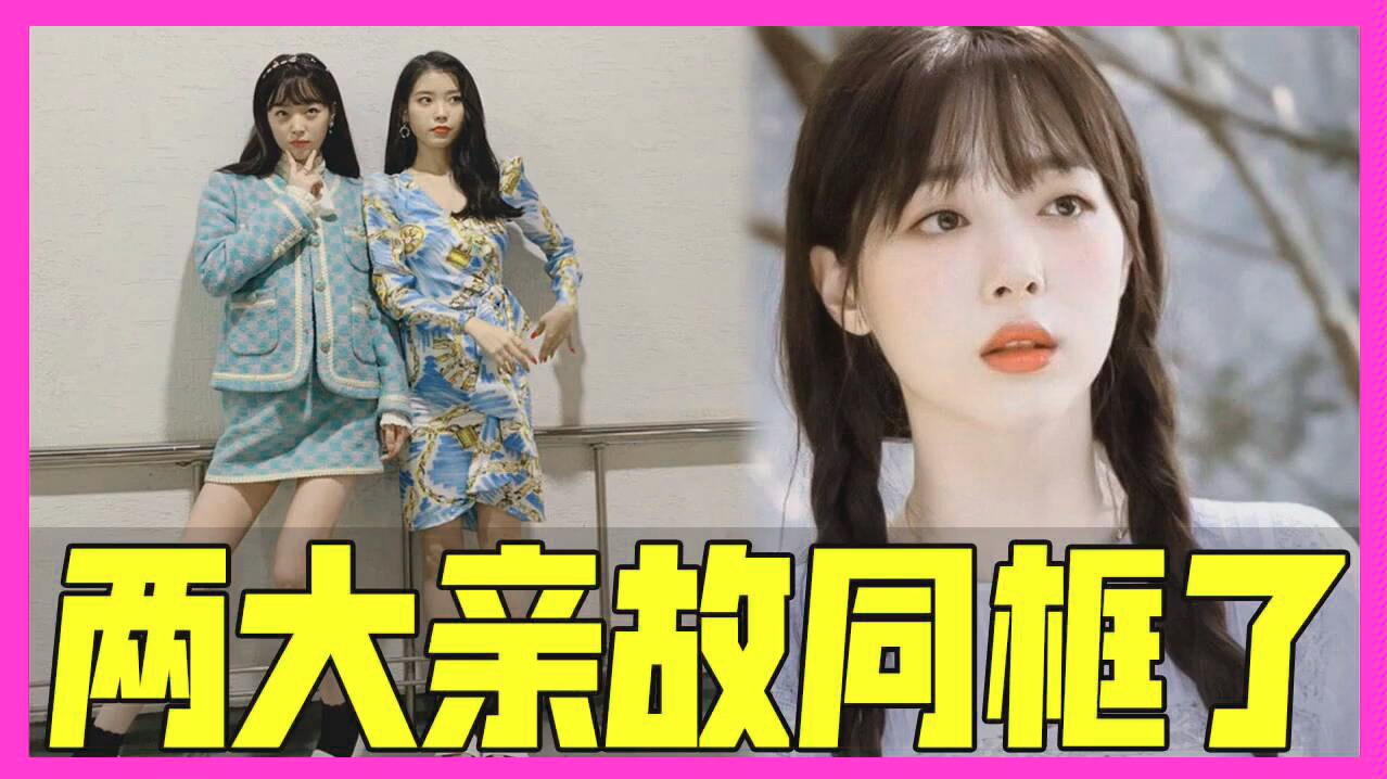 iu和雪莉两大亲故同框了在现场还充当iu的御用摄影师