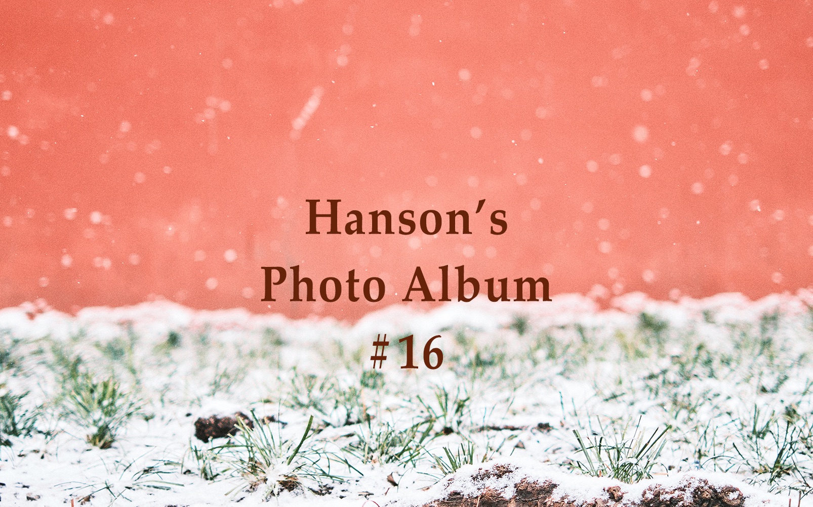 【摄影】Hanson的PhotoAlbum #16哔哩哔哩bilibili