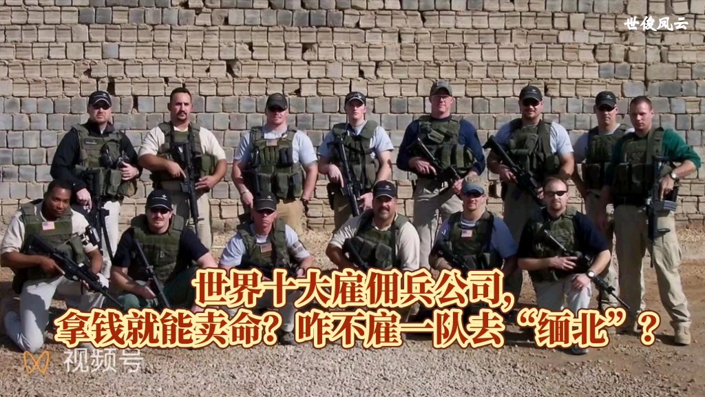 世界十大雇佣兵公司,拿钱就能卖命?咋不雇一队去“缅北”?哔哩哔哩bilibili