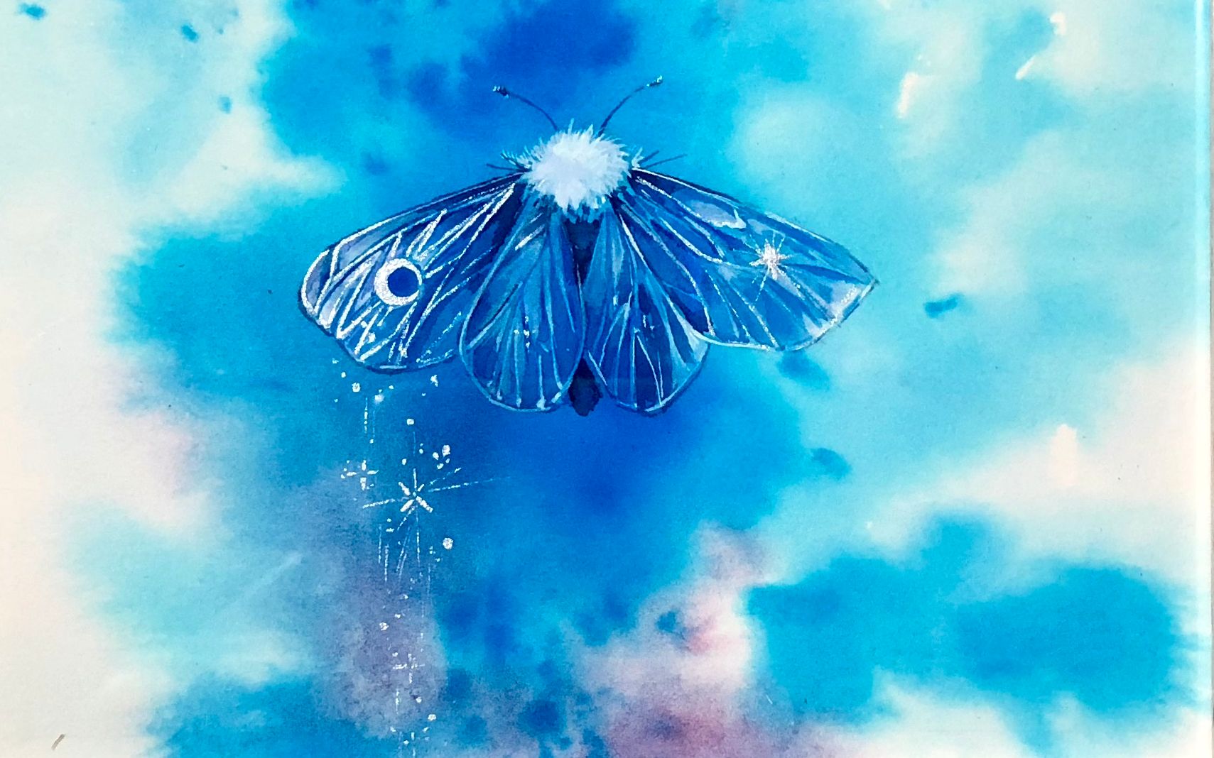 蓝色の蛾_哔哩哔哩 (゜-゜)つロ 干杯~-bilibili