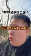 Télécharger la video: 500块钱买什么包？