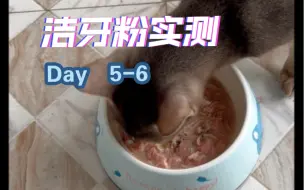 Download Video: 洁牙粉实测day5-6 都基本完食