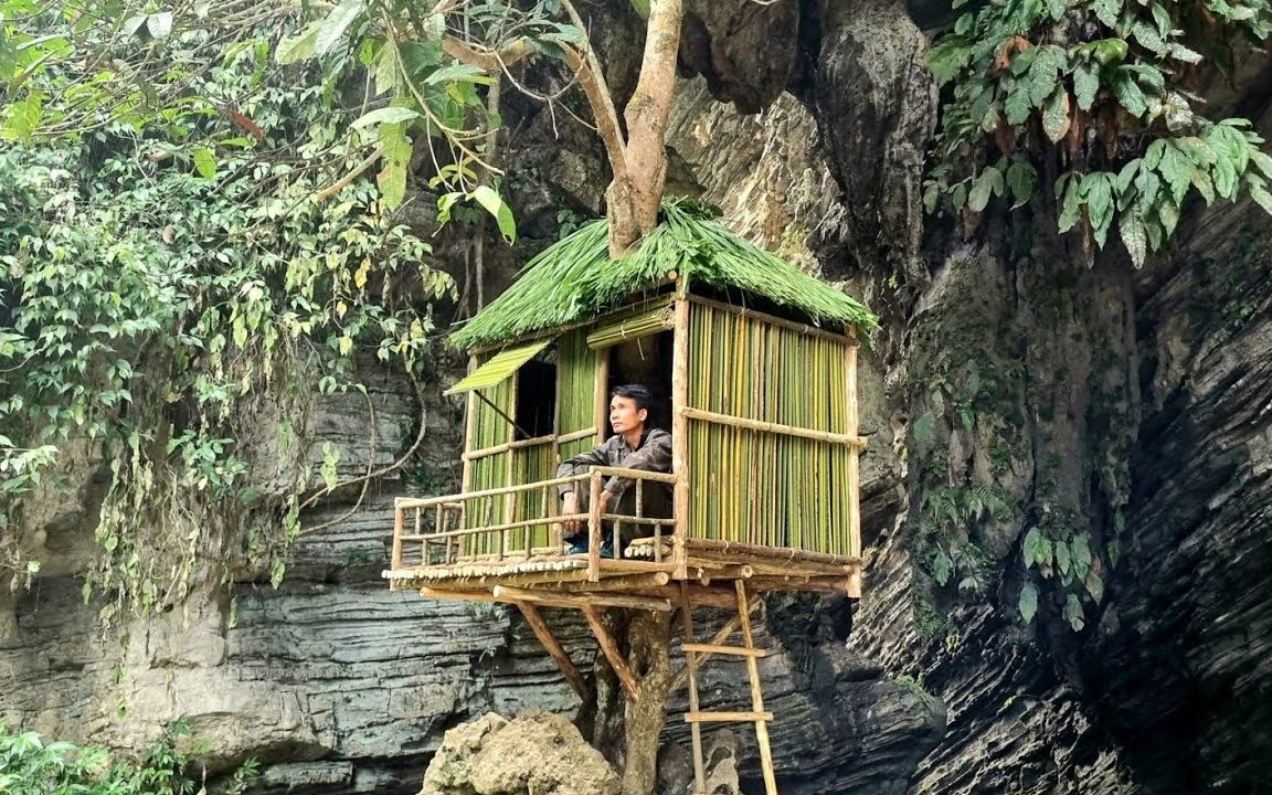 小伙一身本领绝了,在悬崖绝壁的树上建造小屋,住着才安全奢华