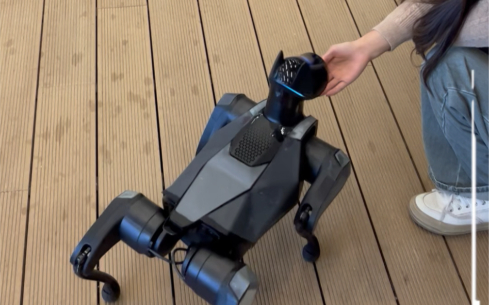 小米铁蛋:看我表演个前空翻翻一半