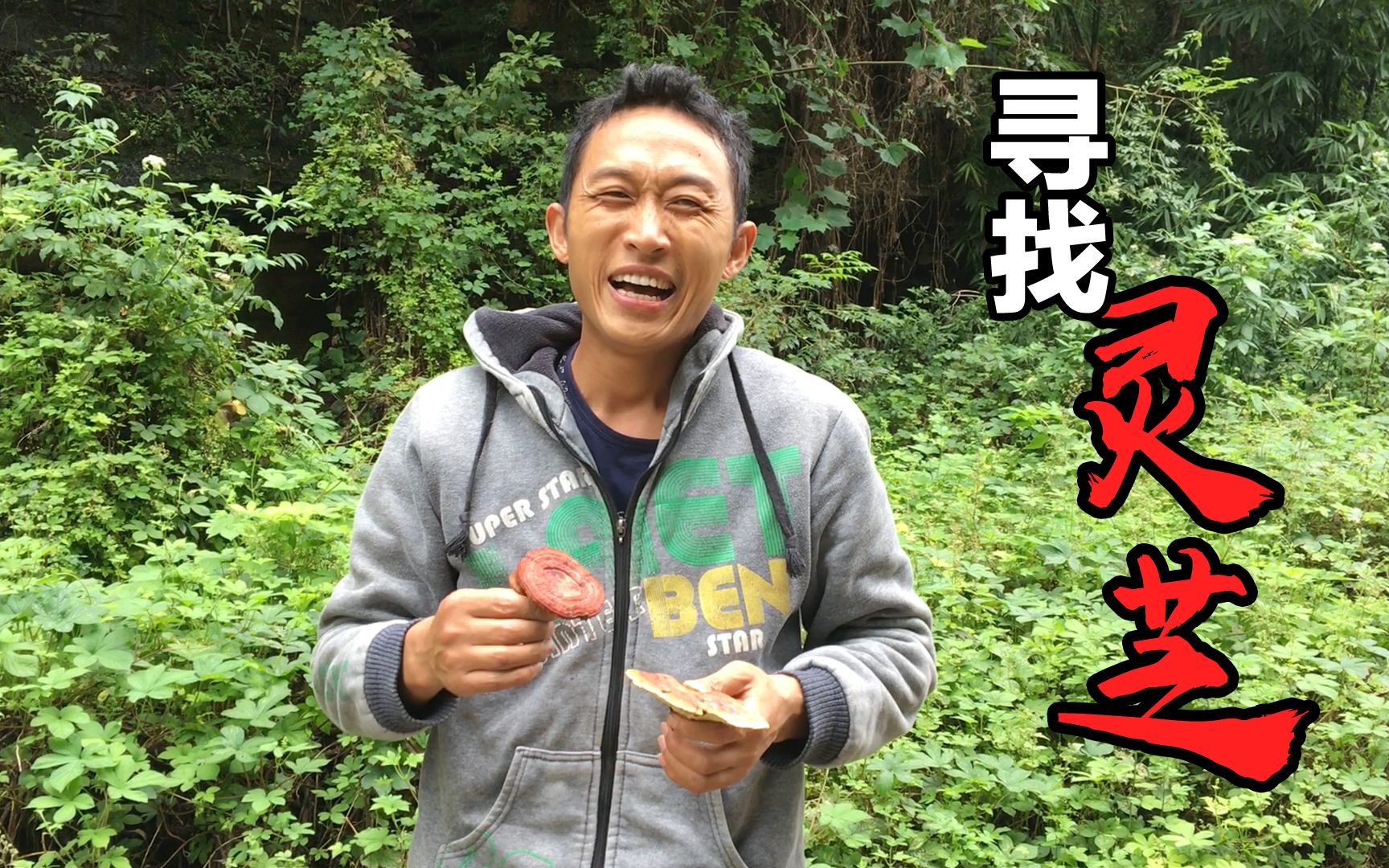 假期景区到处人满为患,管子哥反其道而行,到无人深山中寻找灵芝