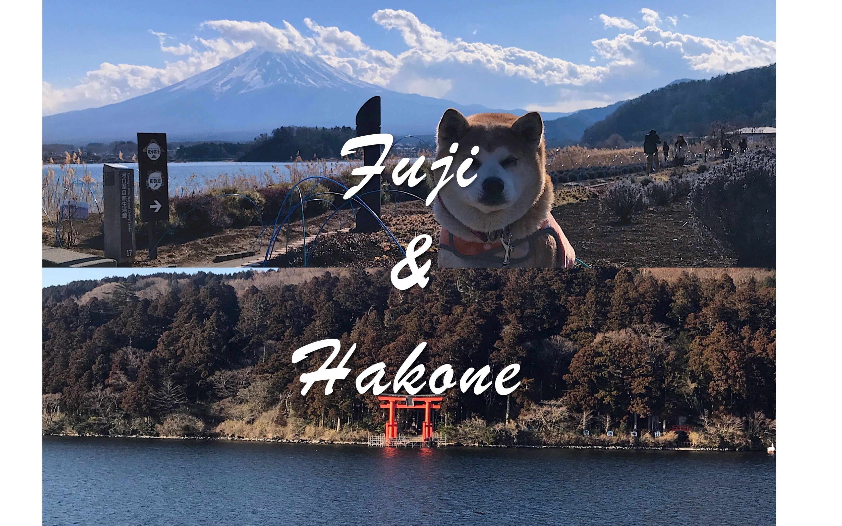 【我叫王卯卯】vlog#3 : Fuji & Hakone哔哩哔哩bilibili