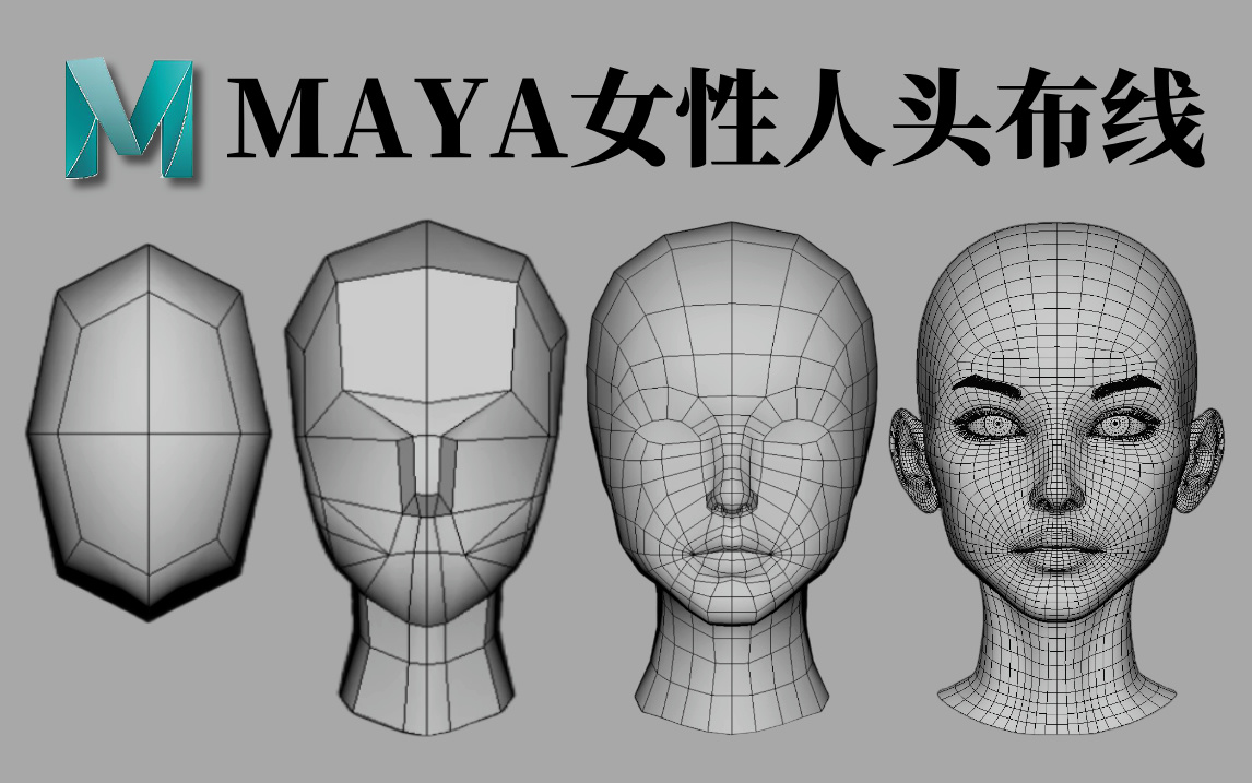 从拉box开始教你,人头五官布线零基础入门必学技巧!