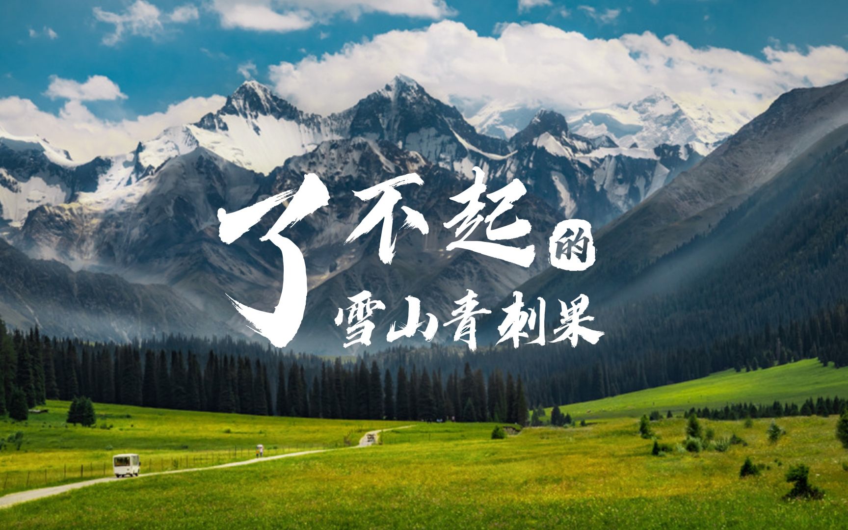 【溯源之旅】了不起的雪山青刺果哔哩哔哩bilibili