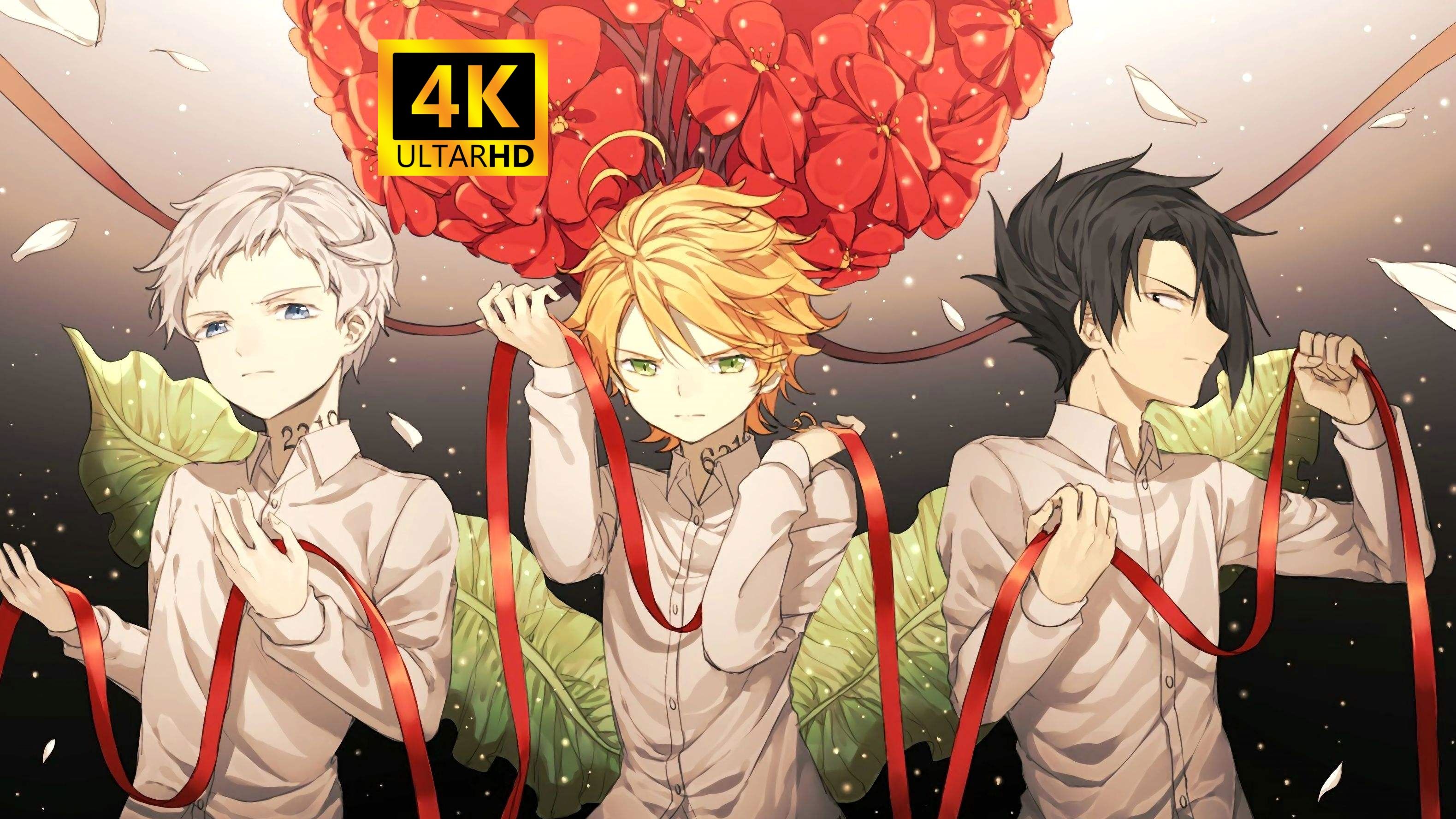 [4k/bd修复/资源修复]约定的梦幻岛第一季全集 详情看简介