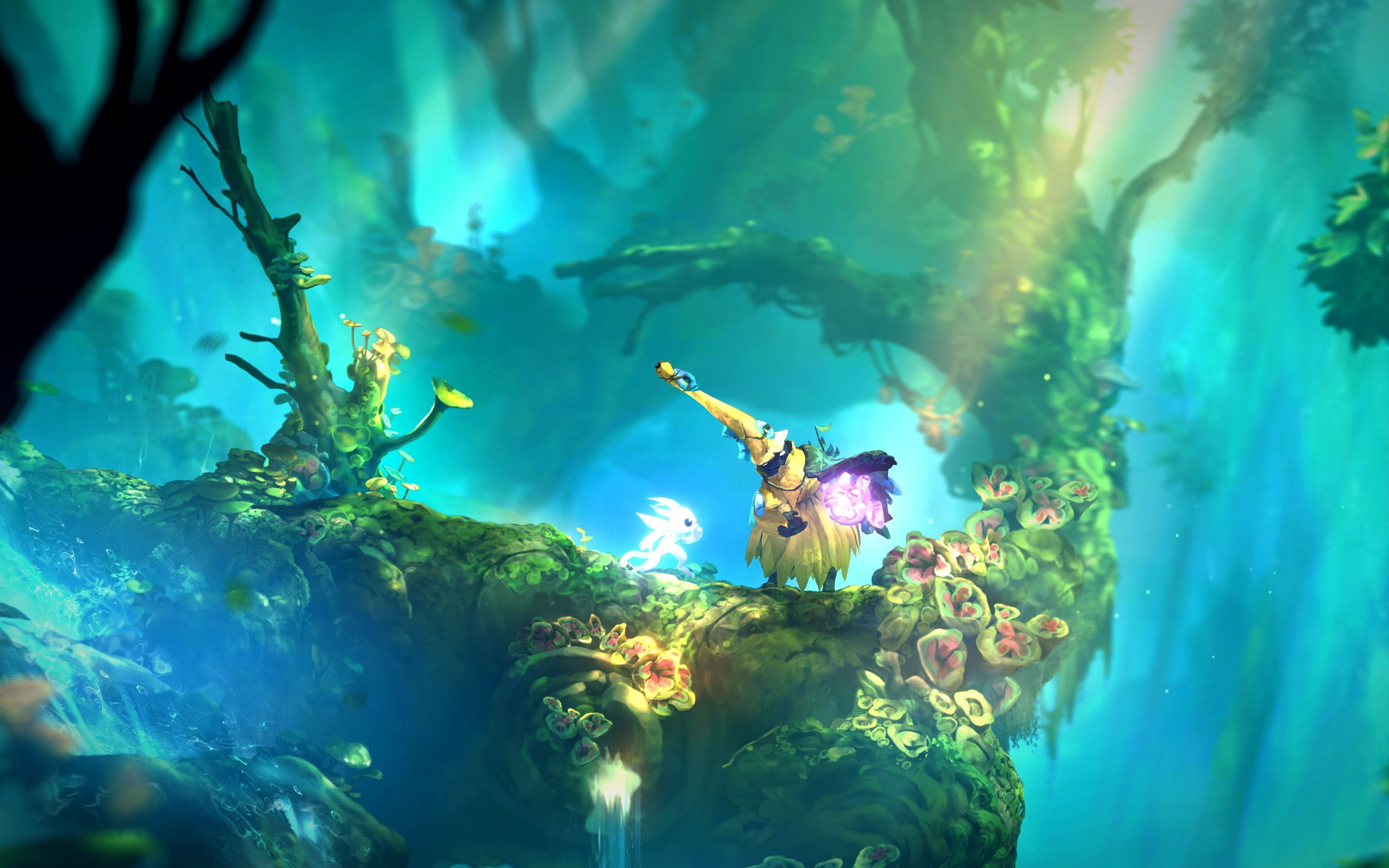 ori2地图全收集记录随心技能演示