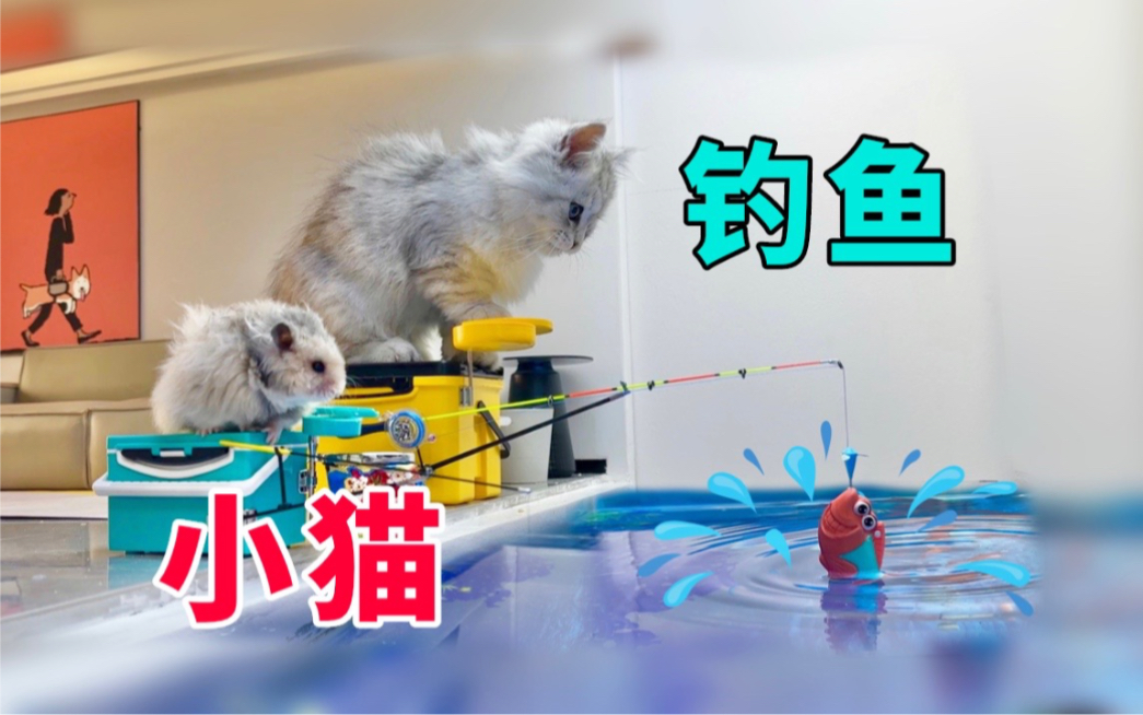 小猫钓鱼哔哩哔哩bilibili