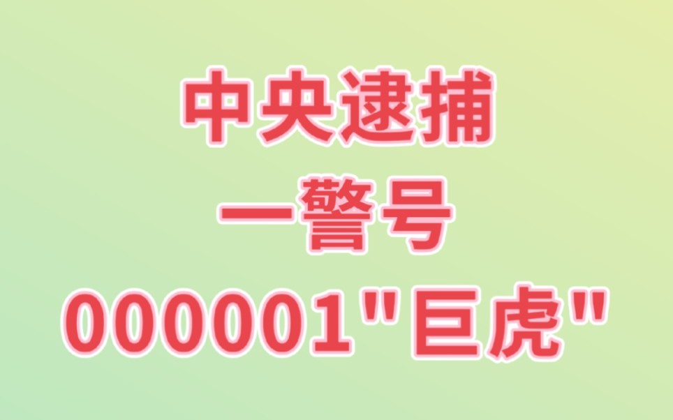 中央逮捕一只警号000001＂巨虎＂,他是谁?一起来看看哔哩哔哩bilibili