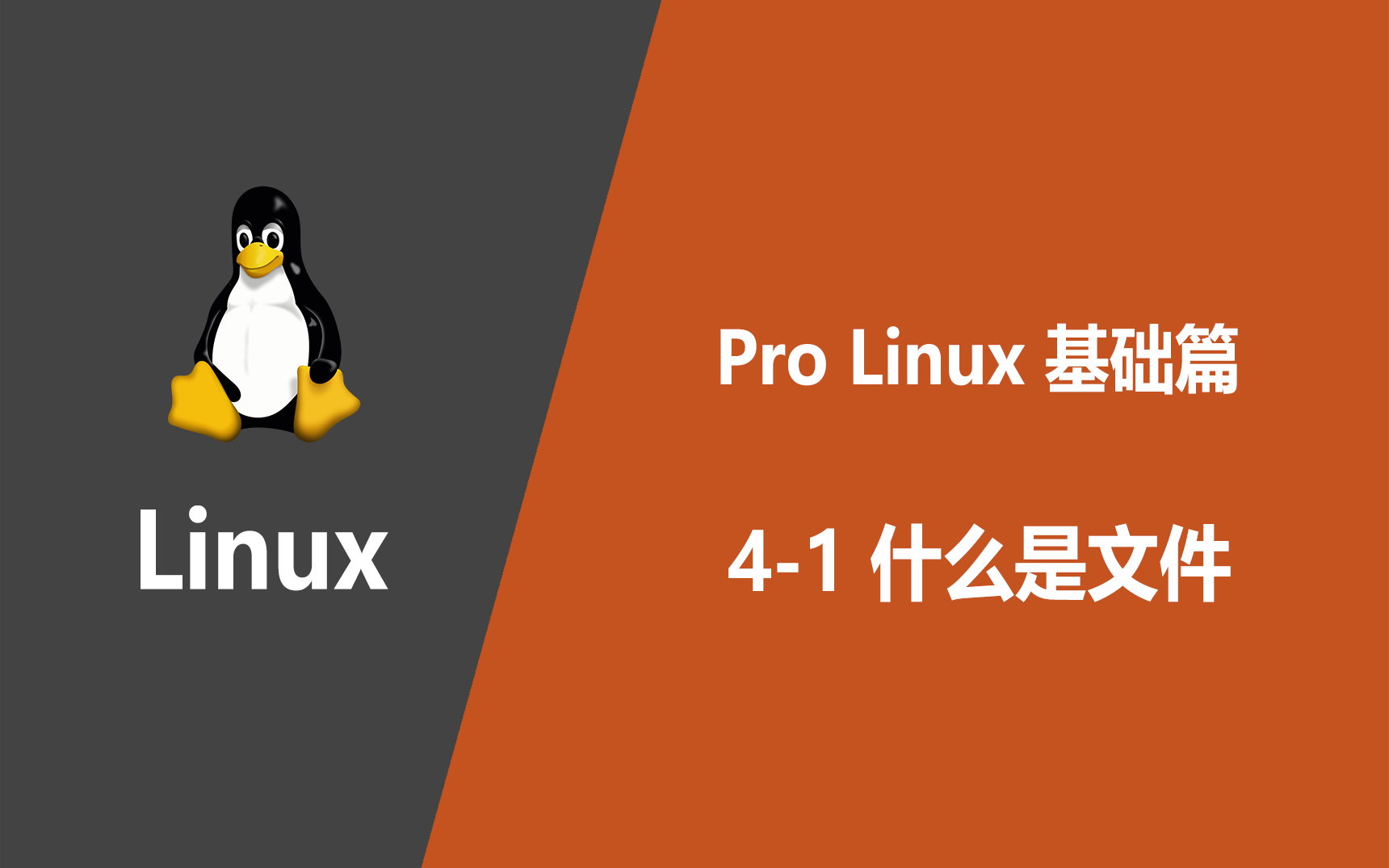 【原创ⷑG404】Pro Linux 基础篇 丨 41 什么是文件哔哩哔哩bilibili