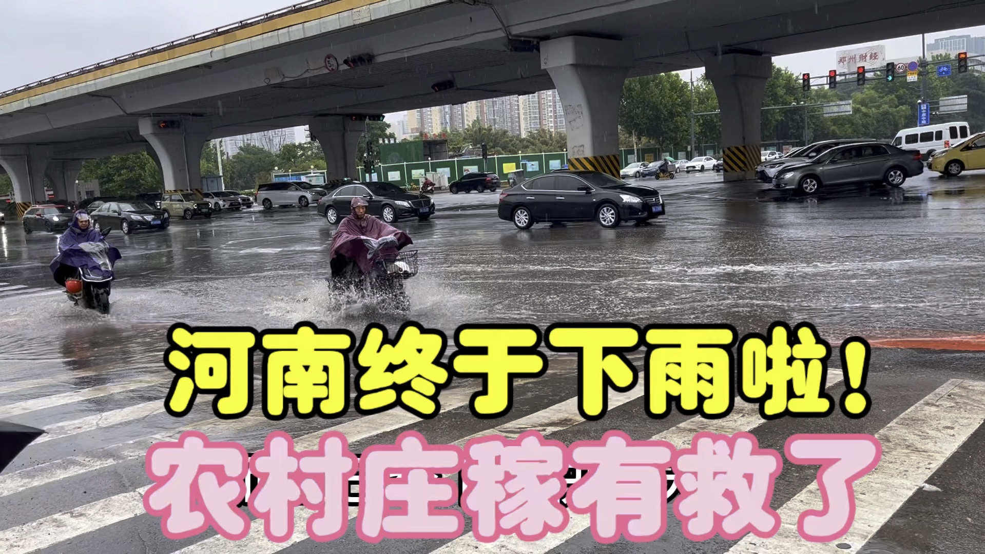 80后夫妻郑州打工,河南终于下雨了!农民种地真的不容易!哔哩哔哩bilibili