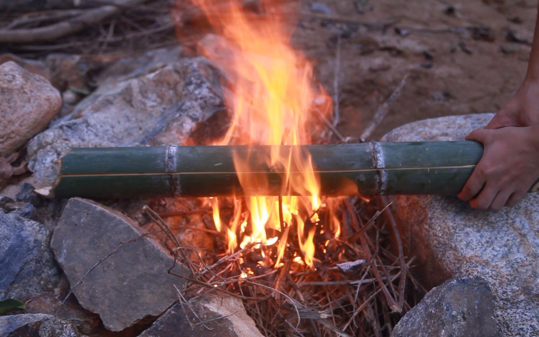 竹子烤虾,真不忍心吃它,就是看几眼也是享受