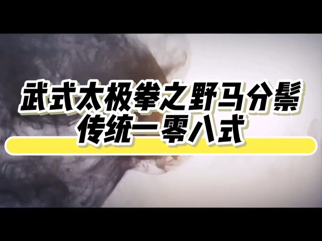 武式太极拳108式野马分鬃