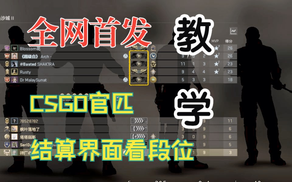 CSGO官匹教你看所有人段位电子竞技热门视频