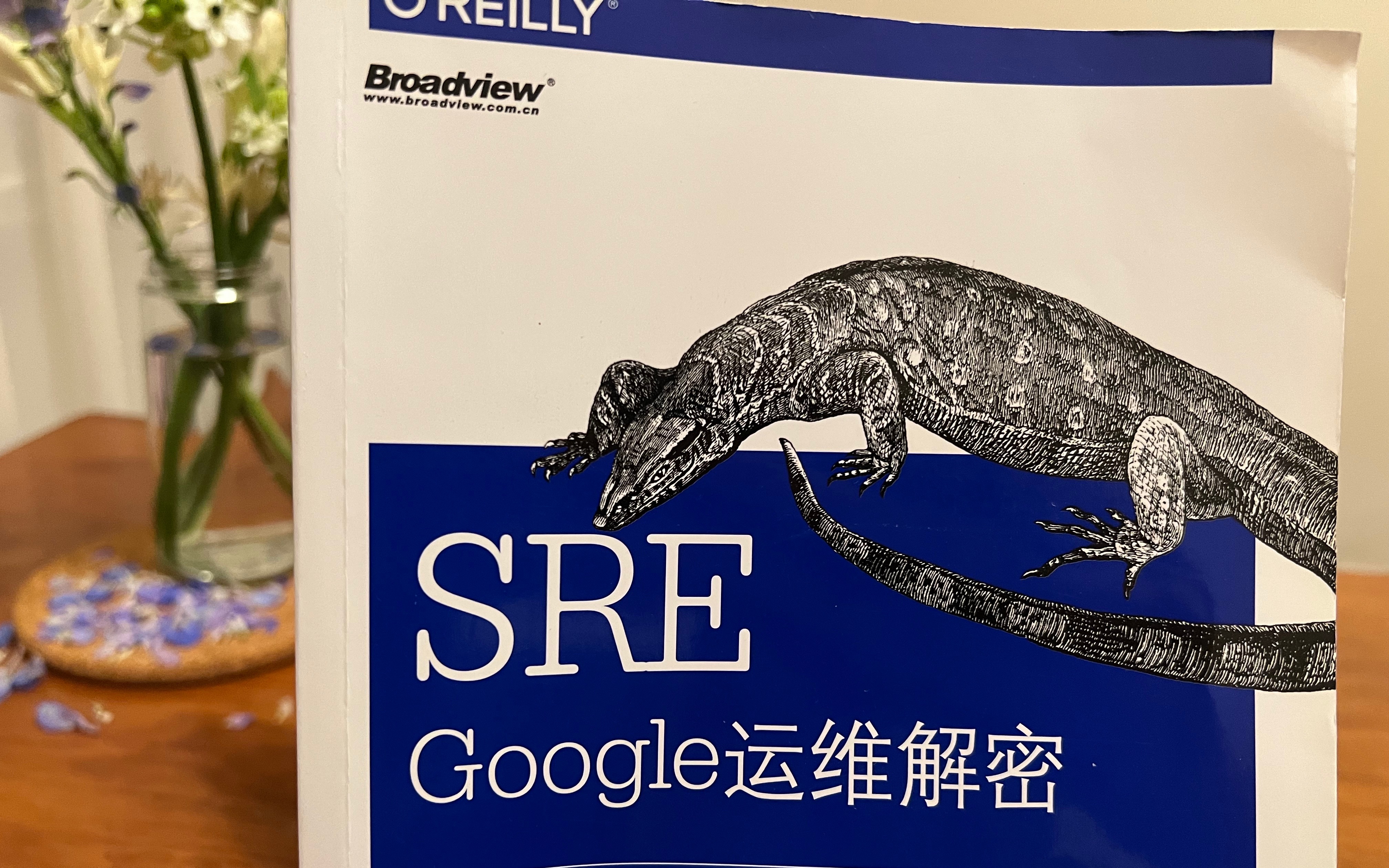 如何读懂B站关于21年713事件的复盘报告,我推荐《SRE:Google运维解密》(豆瓣8.9)哔哩哔哩bilibili