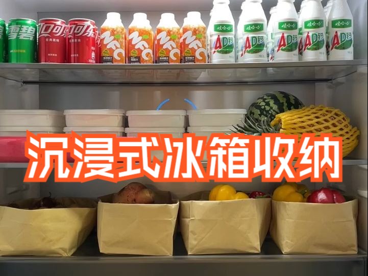 沉浸式冰箱收纳,整整齐齐超解压!我新买的奥马大冰箱哔哩哔哩bilibili