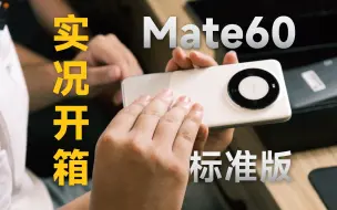 Download Video: 和室友一起开箱Mate60标准版！