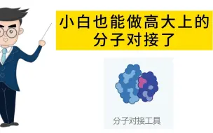 Download Video: 这个工具支持零基础，零代码，基于靶蛋白的小分子、多肽、蛋白对接分析，高清结果图可在论文中直接使用。