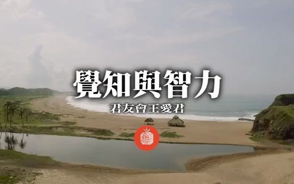 活动作品君友会王爱君觉知与智力