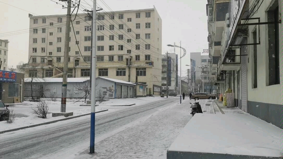 [图]今日雪花漫天飞舞 雪中情 雪中行