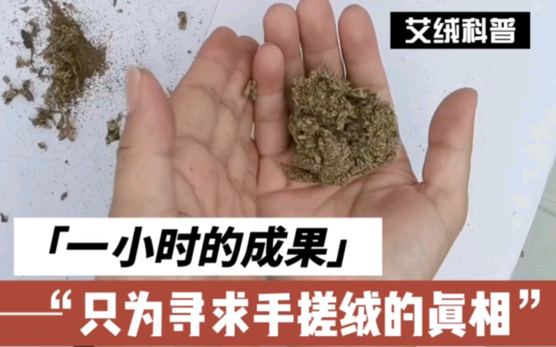 《黄河家艾条》手搓三年陈艾叶能不能搓出来金艾绒呢,看看我的操作吧哔哩哔哩bilibili