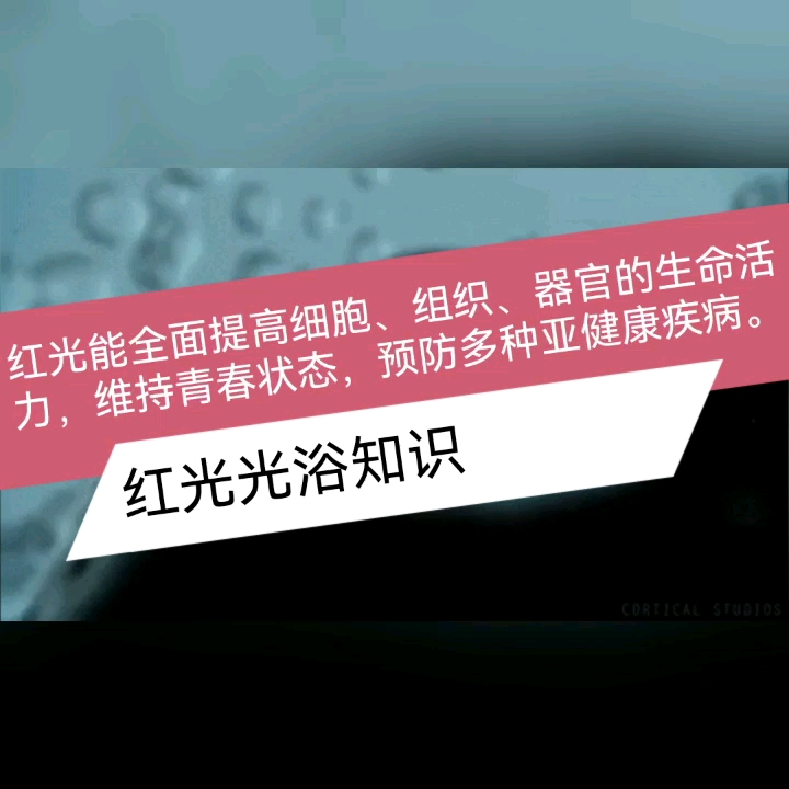 红光能全面提高细胞、组织、器官和个体的生命活力,维持青春状态,预防和治疗多种疾病.哔哩哔哩bilibili