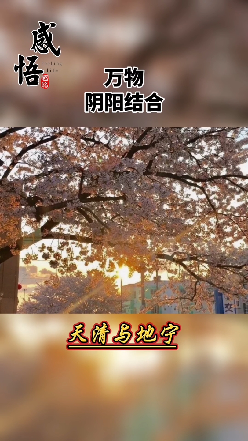 语录:男为天天行健自强不息,女为地地势坤厚德载物,男人刚强有担当叫天晴,女人包容有德行叫地宁,天不晴对一个家庭是伤害,地不宁对一个家庭是...