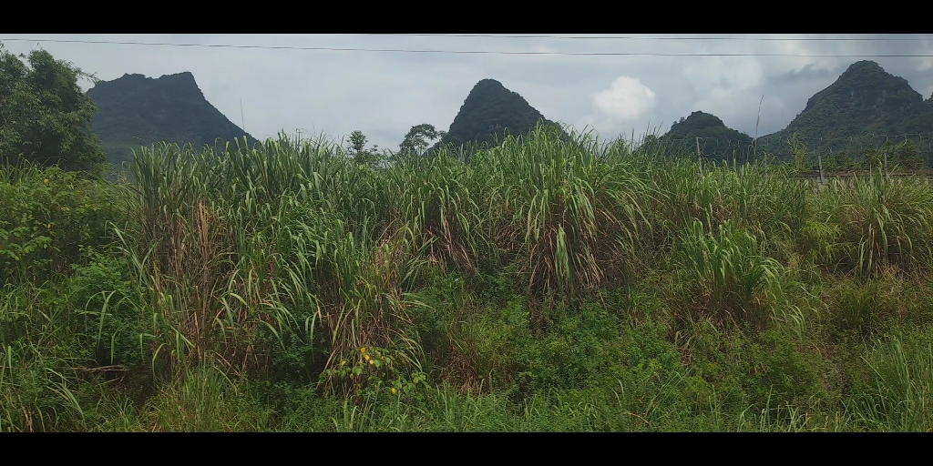 [图]大山， 回家