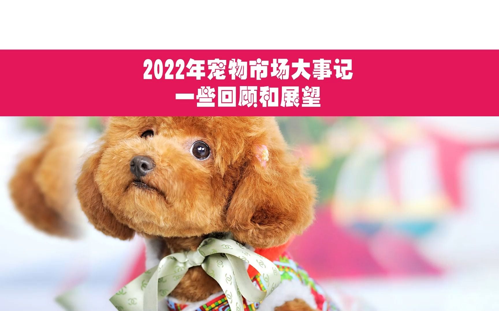 2022年宠物市场回顾和展望哔哩哔哩bilibili