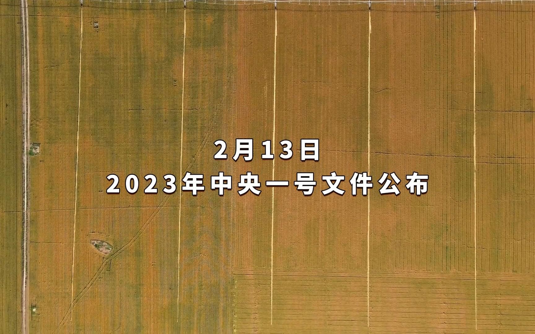 2023年中央一号文件公布哔哩哔哩bilibili