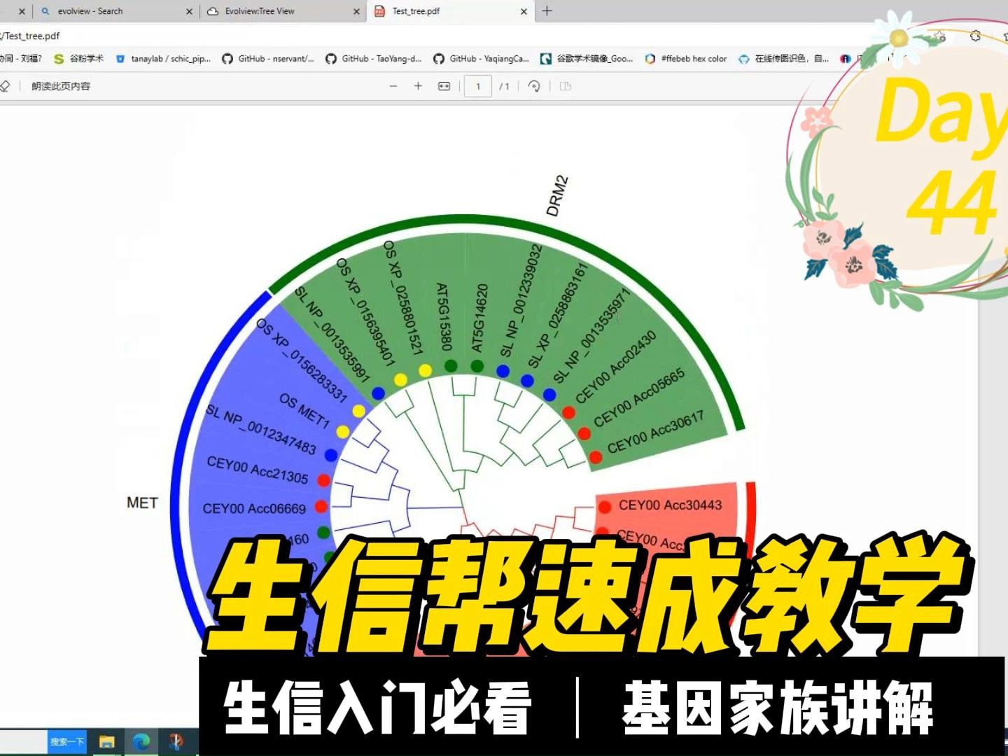 生信帮课程系列,基因家族分析课程44Evolview可视化图表开发,如何构建一个完整的圈图进化树?哔哩哔哩bilibili