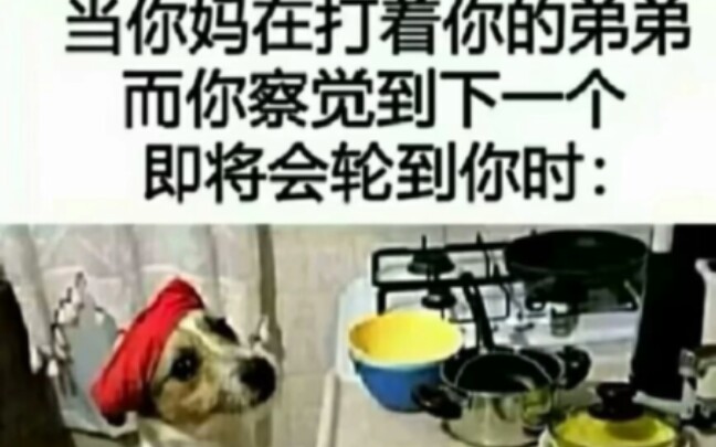 人间真实系列沙雕梗图