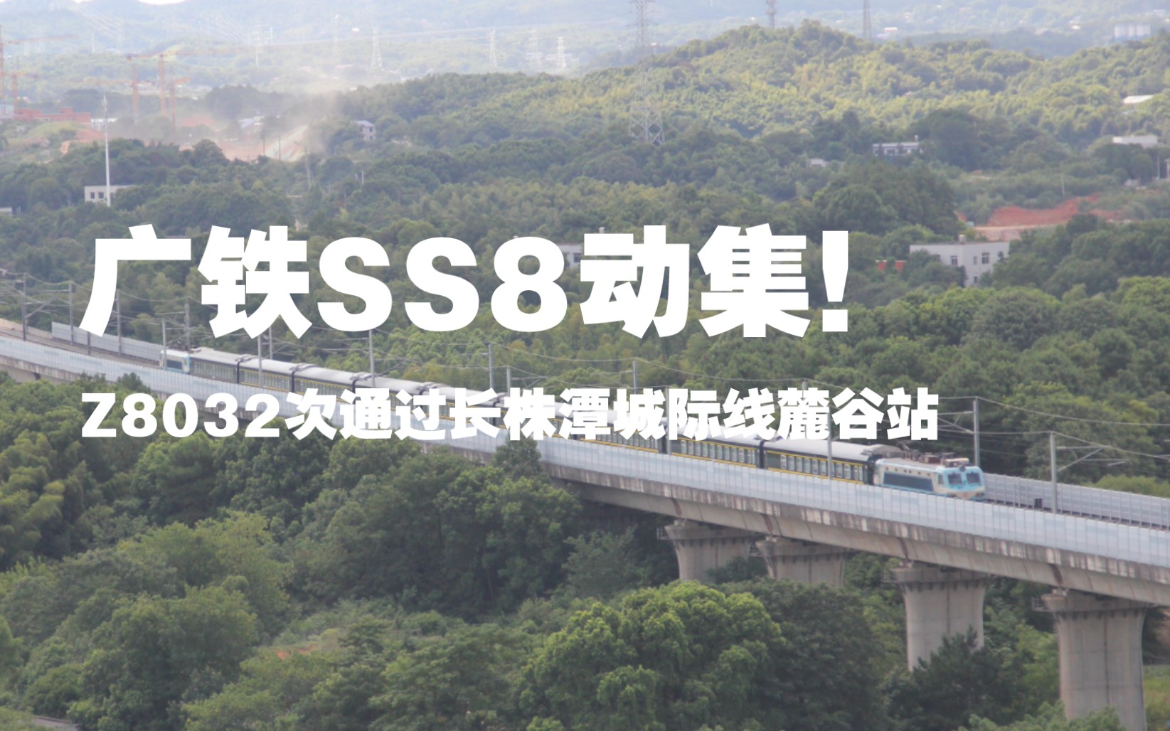 【中国铁路】抢 铁 集 八 !SS8动集Z8032次通过长株潭城际线麓谷站哔哩哔哩bilibili