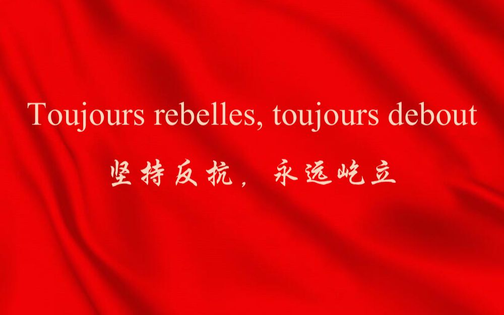 坚持反抗,永远屹立(Toujours rebelles, toujours debout)哔哩哔哩bilibili