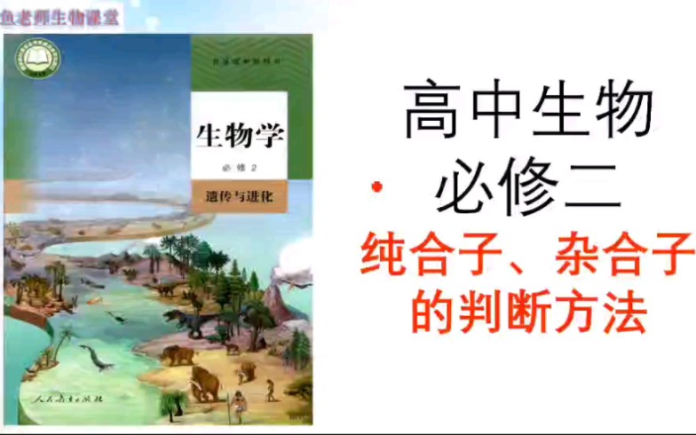 高中生物必修二《纯合子杂合子的判断》哔哩哔哩bilibili