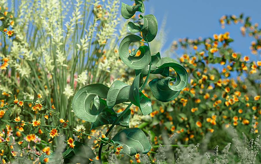 【C4D】终极秘籍揭密!打造逼真植物生长动画,带你实现视觉奇迹,让植物在屏幕中真实盛放!适合OC/红移等其他渲染器哔哩哔哩bilibili