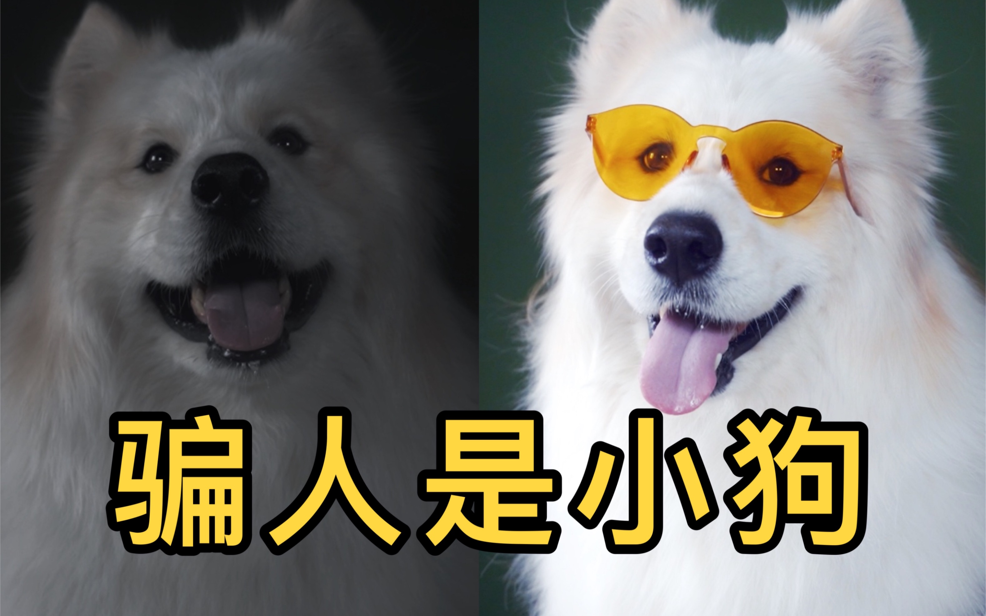 骗人是小狗!(这些套路你一定见过)