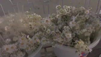 网红鲜花店 我想见你 不远万里 往后余生 都是你 哔哩哔哩 Bilibili
